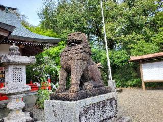 鈴木神社の参拝記録(飛成さん)