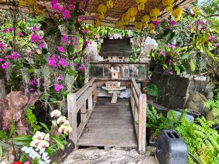 弁財天宮(沖宮 境内社)の参拝記録(Y.1966.Sさん)