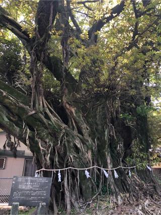 永目神社の参拝記録(zatzatさん)