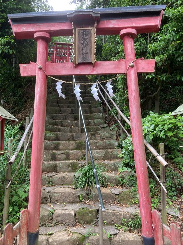 梅若稲荷神社の参拝記録(あきさん)