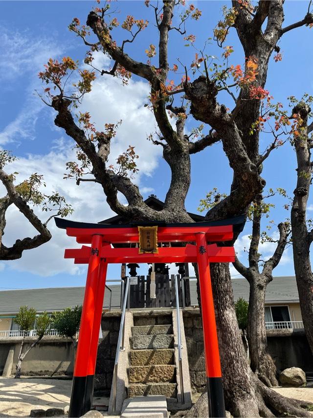 兵庫県尼崎市西本町6-238 白龍大神(貴布禰神社)の写真1