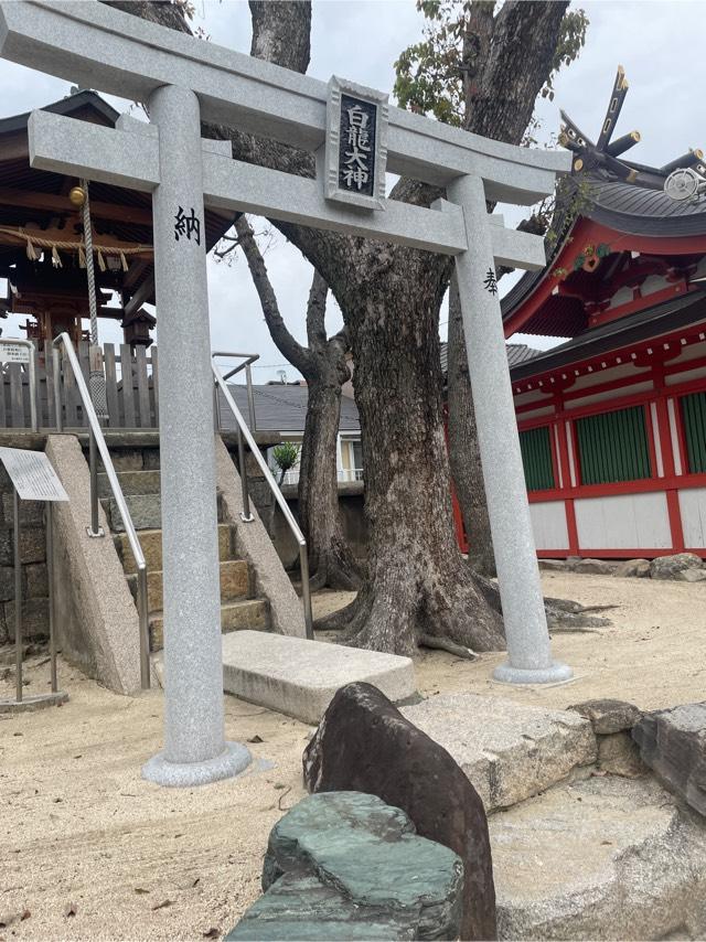 白龍大神(貴布禰神社境内)の参拝記録1