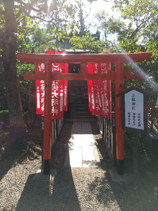 千葉県木更津市富士見1-6-12 三社神社の写真2