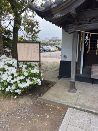 祖神社の参拝記録(⛩️🐍🐢まめ🐢🐍⛩️さん)