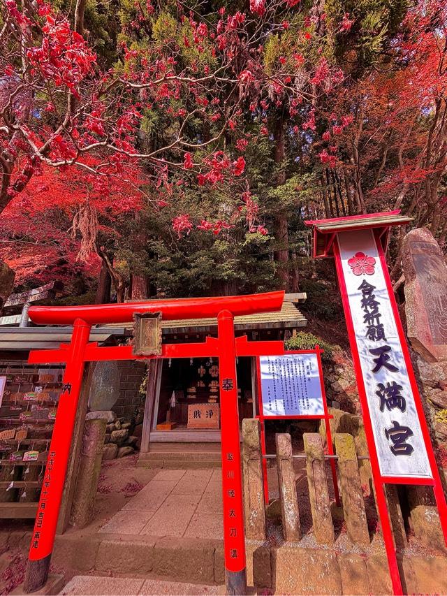 天満宮(大山阿夫利神社境内社)の参拝記録6