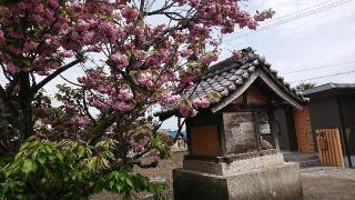 桜神社の参拝記録(Roseさん)
