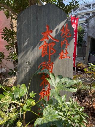 太郎稲荷神社(江東天祖神社境内社)の参拝記録(⛩️🐉🐢まめ🐢🐉⛩️さん)