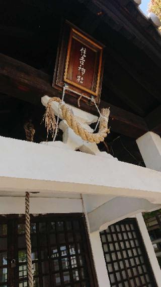 宇和島住吉神社の参拝記録(Roseさん)