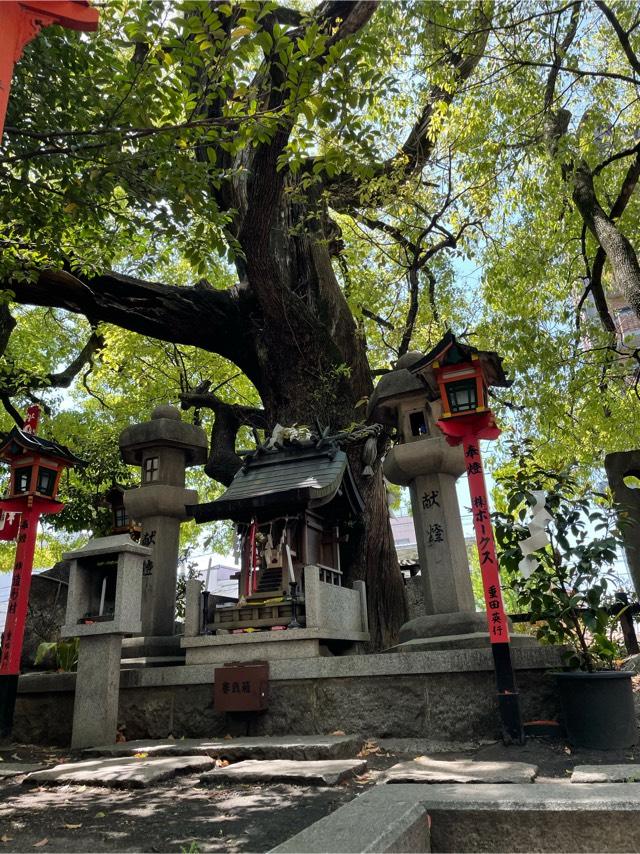 楠社(若一神社)の写真1