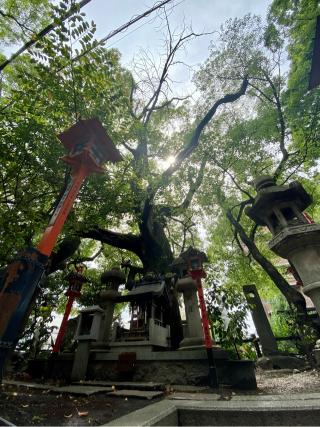 楠社(若一神社)の参拝記録(さくらさん)