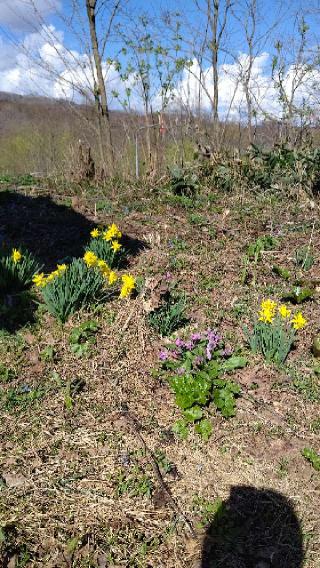 牧佐内神社の参拝記録(ひろちゃんさん)