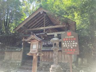 丹生神社 (東吉野村小)の参拝記録(恭子さん)