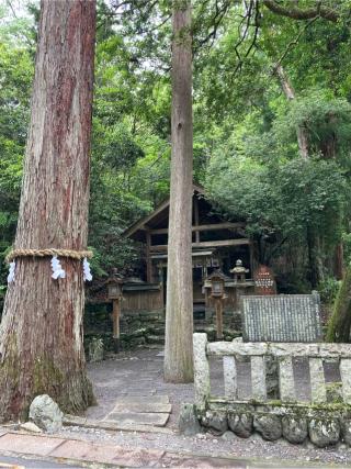丹生神社 (東吉野村小)の参拝記録(満次さん)
