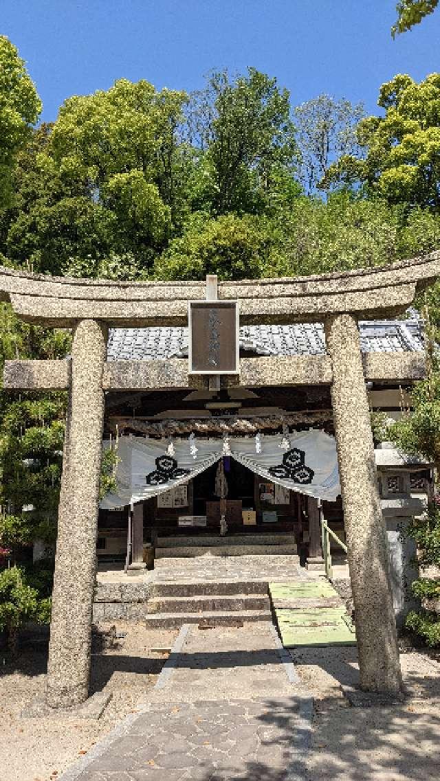 広島県尾道市向島町5525 厳島神社の写真1