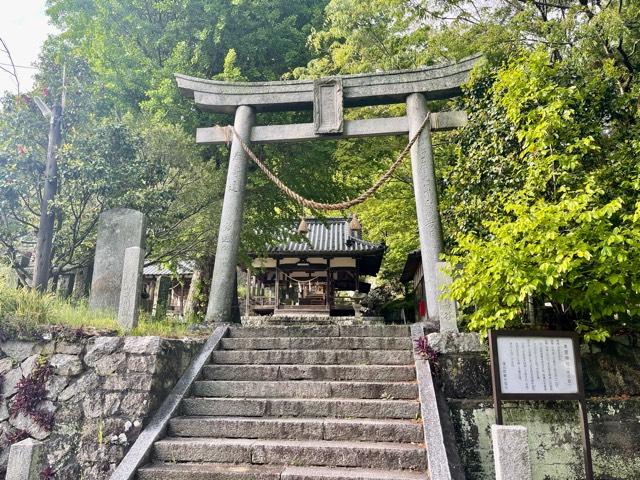 広島県呉市蒲刈町向 本宮神社の写真1