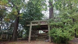 平藪神社の参拝記録(Roseさん)