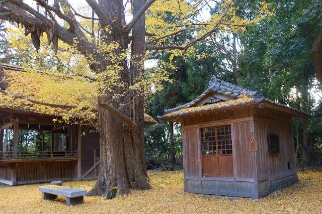 八坂神社(玉敷神社境内社)の参拝記録3