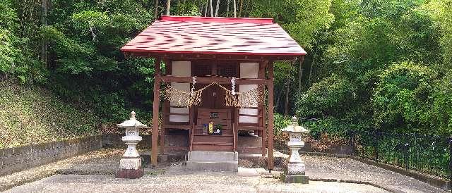 鹿児島県日置市東市来町湯田 湯之元温泉神社の写真2