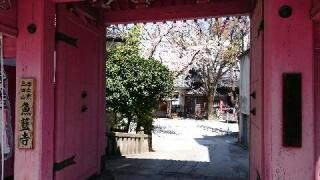 三田山 魚籃寺の参拝記録(松さん)