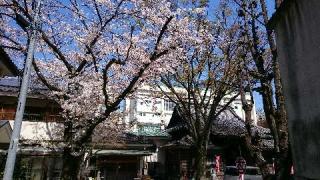 三田山 魚籃寺の参拝記録(松さん)