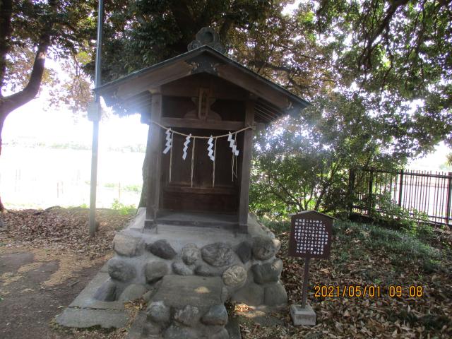 埼玉県熊谷市村岡851―1 八坂神社(登由宇気神社境内社)の写真1