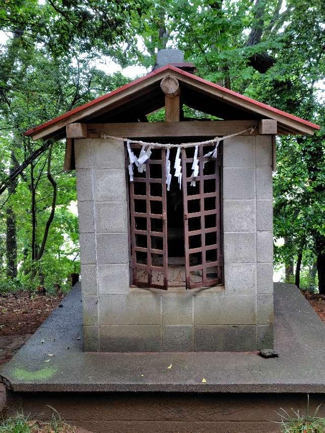 埼玉県熊谷市平塚新田508 天満宮(白髭神社境内社)の写真2
