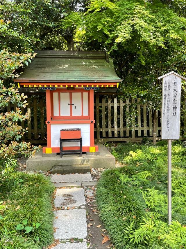 千葉県香取市香取1697-1 櫻大刀自神社の写真4