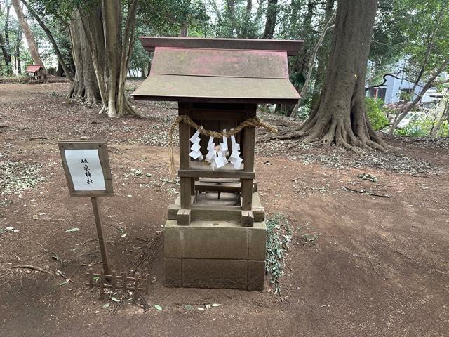 坂東神社(氷川女體神社境内社)の参拝記録(有栖さん)