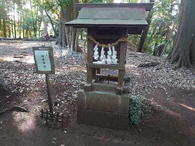 坂東神社(氷川女體神社境内社)の参拝記録7