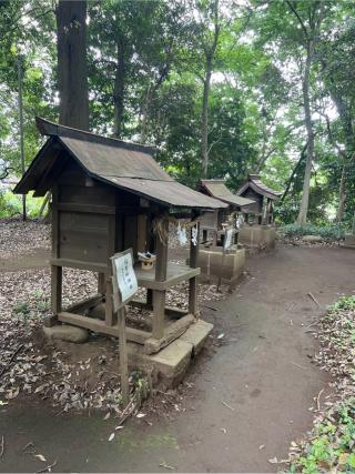 住吉明神社(氷川女體神社境内社)の参拝記録(⛩️🐍🐢まめ🐢🐍⛩️さん)