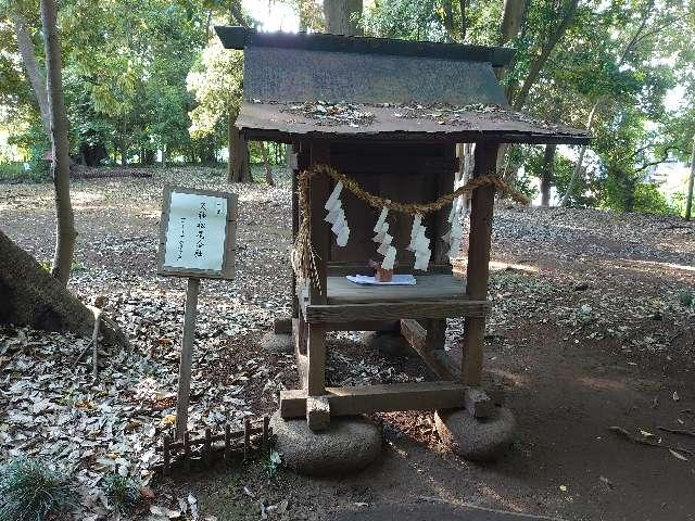 天神松尾合社(氷川女體神社境内社)の参拝記録7