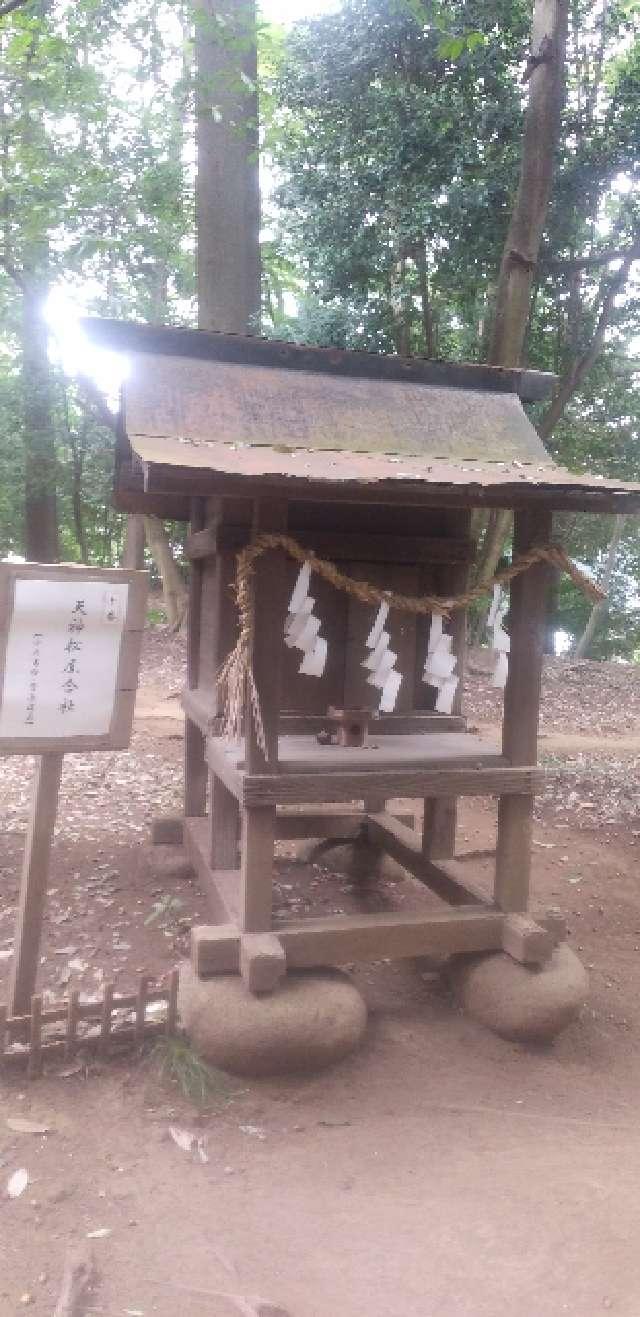 天神松尾合社(氷川女體神社境内社)の参拝記録5
