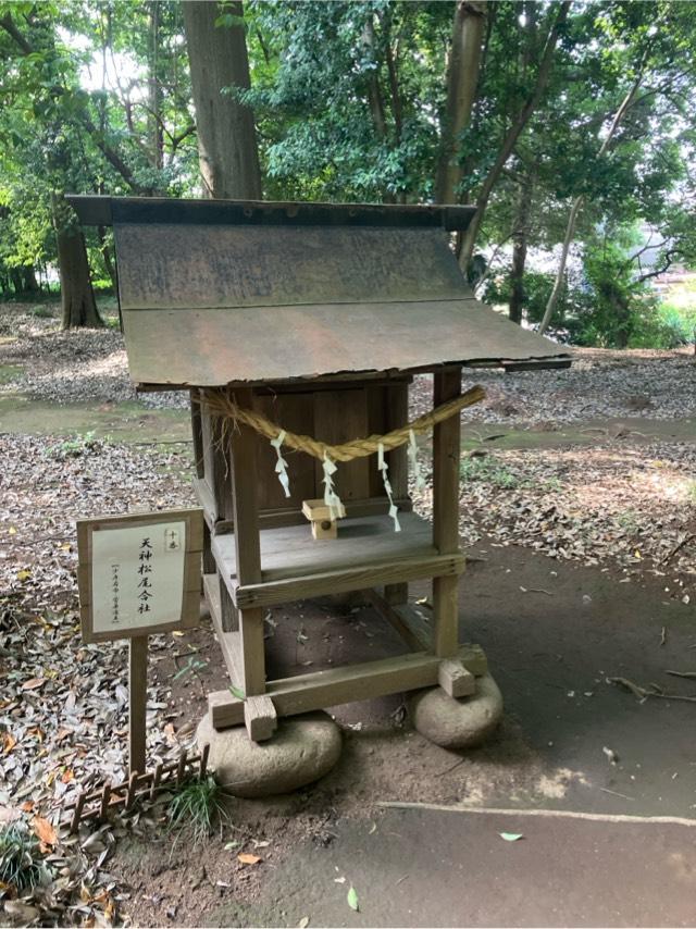 天神松尾合社(氷川女體神社境内社)の参拝記録3
