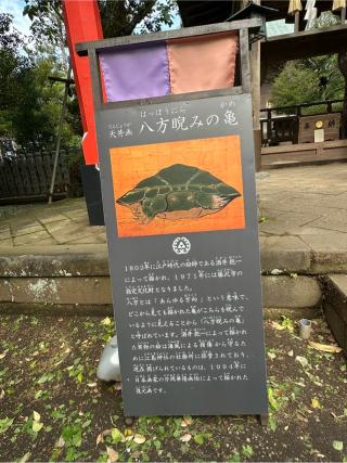 八方睨みの龜(江島神社 奥宮拝殿天井)の参拝記録(牛丼じじいさん)