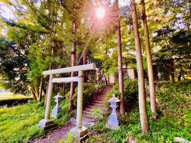 城山稲荷神社の参拝記録(shikigami_hさん)