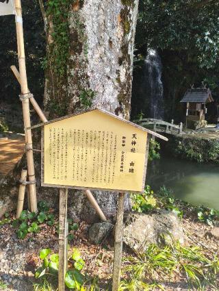 天神社（出雲教 摂社）の参拝記録(バッカラさん)