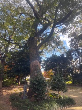 王野八幡宮の参拝記録(ユウさん)
