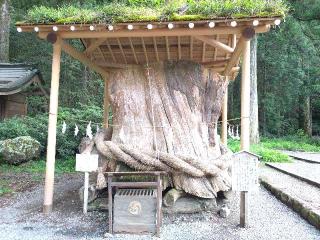 全国一宮等合殿社(小國神社境内社)の参拝記録(yukiさん)