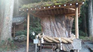 全国一宮等合殿社(小國神社境内社)の参拝記録(SFUKUさん)