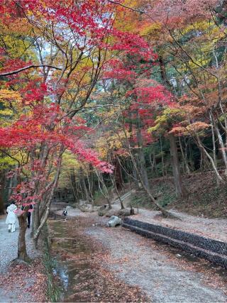 全国一宮等合殿社(小國神社境内社)の参拝記録(カズさん)