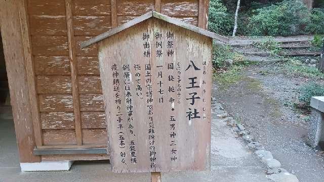 静岡県周智郡森町一宮3956-1 八王子社(小國神社境内社)の写真2