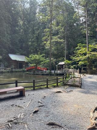八王子社(小國神社境内社)の参拝記録(⛩️🎠🐢まめ🐢🎠⛩️さん)