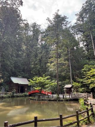 八王子社(小國神社境内社)の参拝記録(マ🌸ノさん)