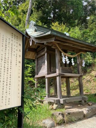 飯王子社(小國神社境内)の参拝記録(恭子さん)