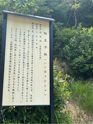 飯王子社(小國神社境内社)の参拝記録(マ🌸ノさん)