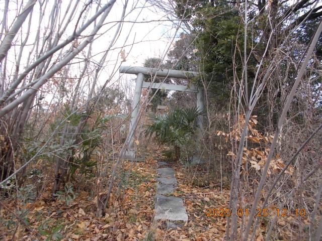 埼玉県吉川市中島２丁目 稲荷神社(中島)の写真2