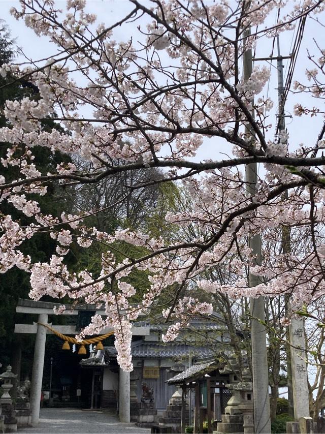 磯崎神社の参拝記録2