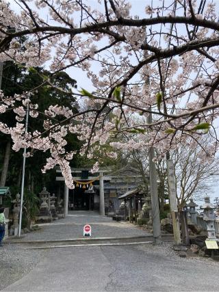 磯崎神社の参拝記録(すし吉さん)
