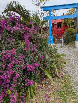 石垣宝来宝来神社の参拝記録(ゆみさん)