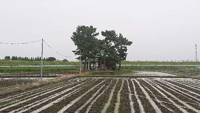 埼玉県吉川市拾壱軒４０８ 稲荷神社(拾壱軒)の写真2